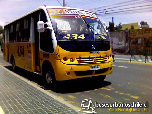 434 Caio Piccolo "The Eleganth"