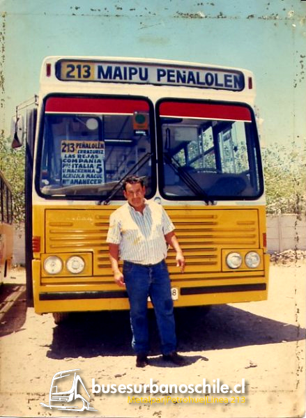 213 Metalpar Petrohué MB1115