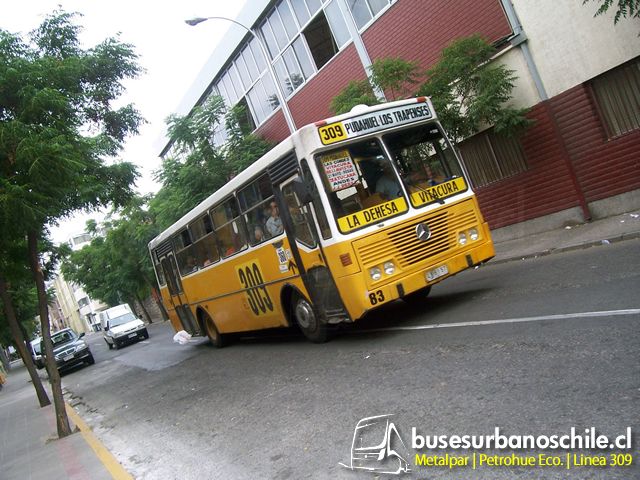 309 | Metalpar Petrohue Eco. - M. Benz OF-1318