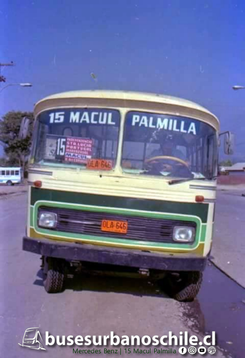 15 Macul Palmilla Mercedes Benz