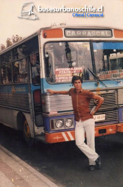 Carrascal Ciferal Tocantins