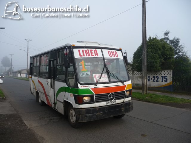 1 Lautaro | CAIO Carolina III - M. Benz LO-708E