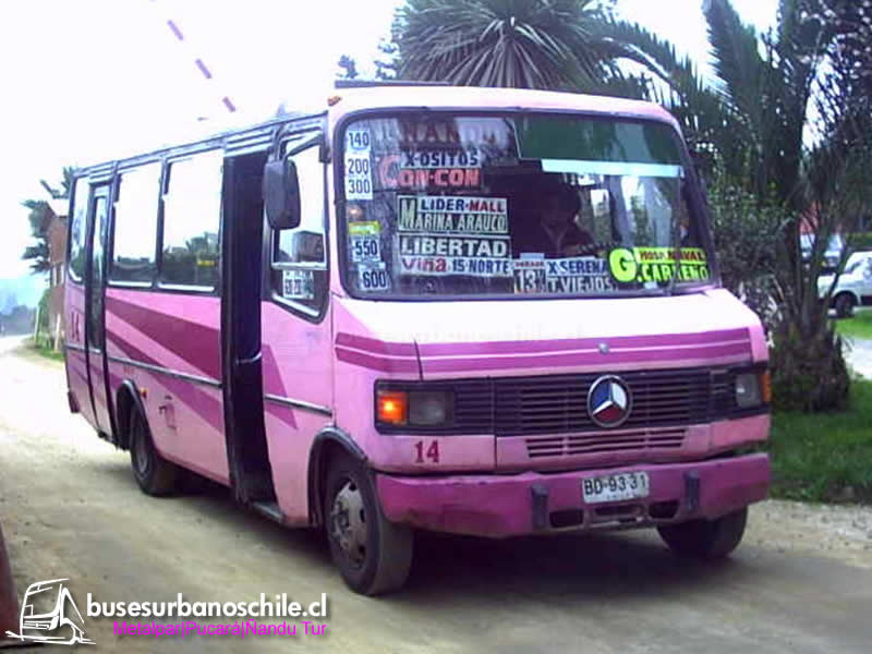 Ñandu Tur | Metalpar Pucará - M. Benz LO-809