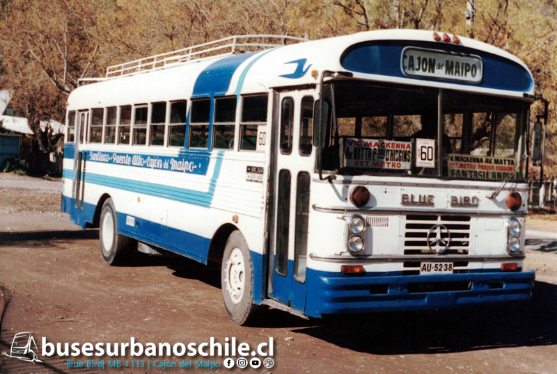 Cajón Del Maipo Blue Bird