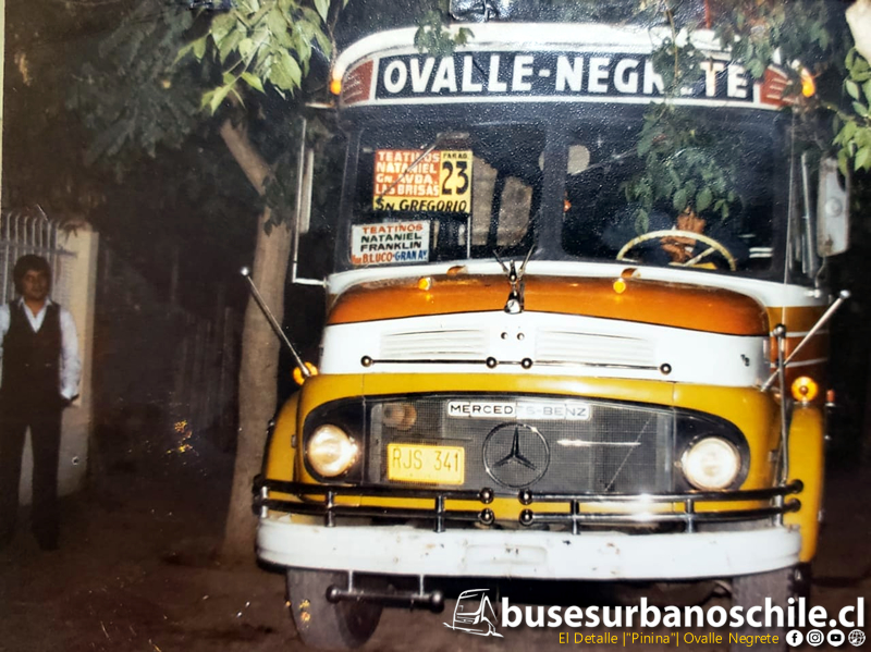 Ovalle Negrete El Detalle "Pinina"