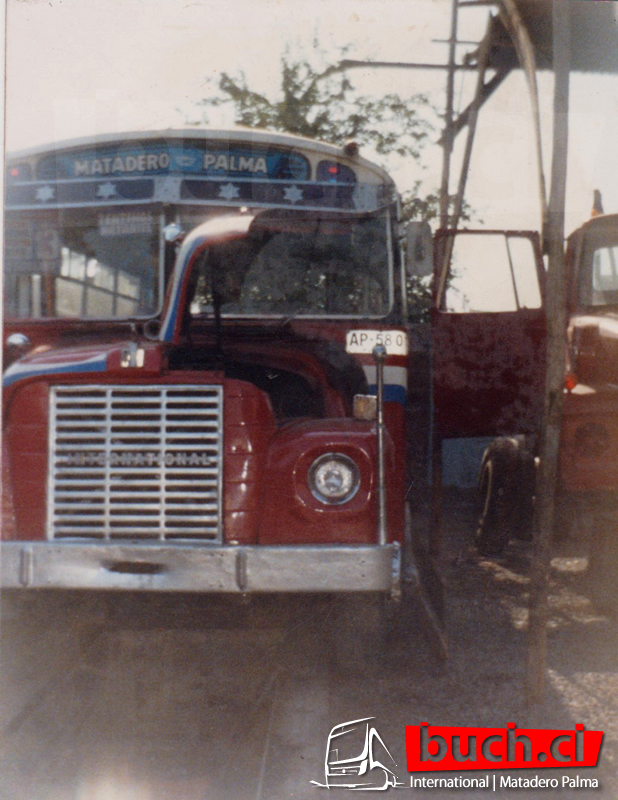 Matadero Palma International