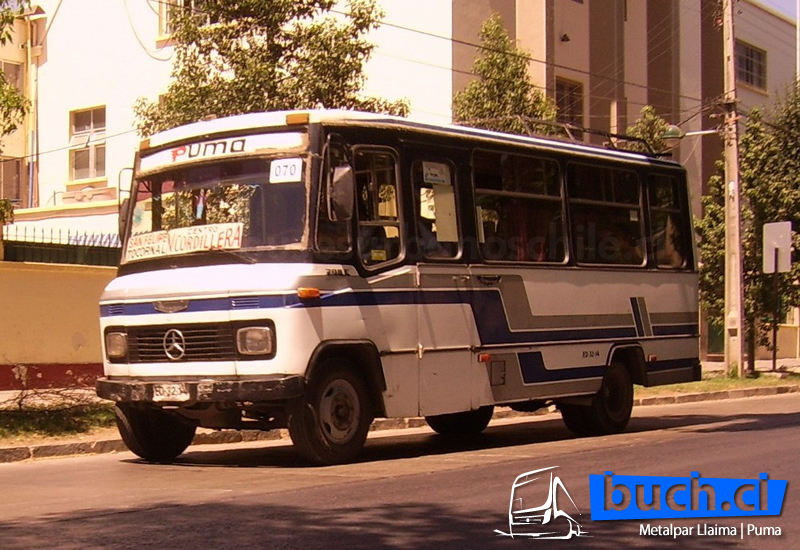 Buses Puma Metalpar Llaima