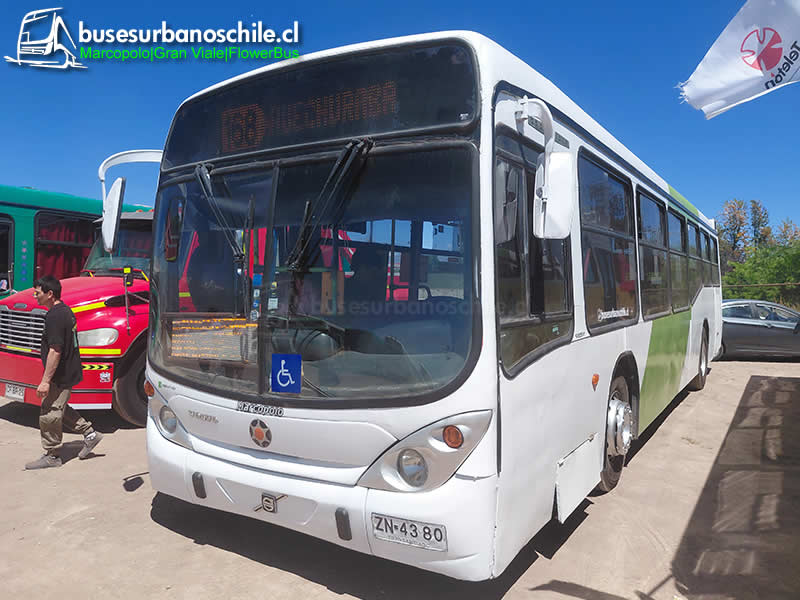 Flower's Bus | Marcopolo Gran Viale - Volvo B7R