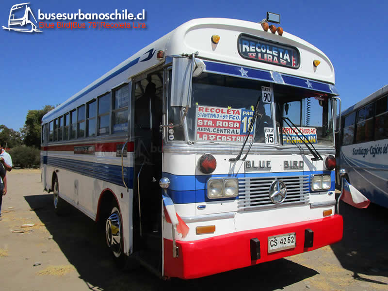 Recoleta Lira | Blue Bird 79'- M. Benz LPO-1113
