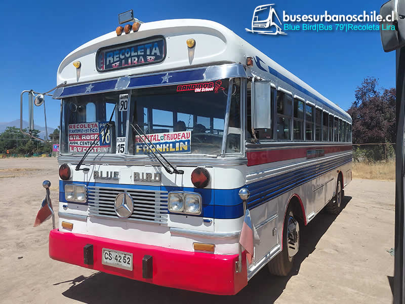 Recoleta Lira | Blue Bird 79'- M. Benz LPO-1113