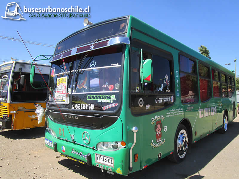 La Insaciable | CAIO Apache STD - M. Benz OH-1115L-SB