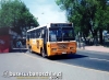 301 Metalpar Petrohué Ecológico