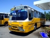 422 Ciferal GLS BUS Volvo