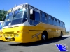 422 Ciferal GLS BUS