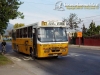 157 Repargal Frontal Ciferal GLS Bus