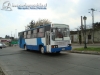 Particular Rancagua | Marcopolo Torino - M. Benz OF-1115