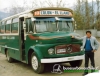 Colon El Llano 10 | El Detalle 'Pinina' Taxibus - M. Benz L-1114