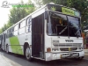 Troncal 3 Buses Gran Santiago | Busscar Urbanus - Volvo B10M