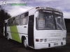638 | Inrecar Bus 96' - M. Benz OH-1420