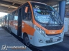 BioBus, Concepción | CAIO F2400 New Fóz - M. Benz LO-916