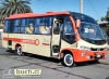 Maxibus Astor Lincosur