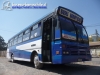 Buses Benavides, San Felipe | Sport Wagon Festival Eco. - M. Benz OF-1318