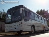 Buses Crifelan | Comil Svelto - M. Benz OH-1420