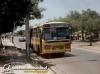616 Bus Tango
